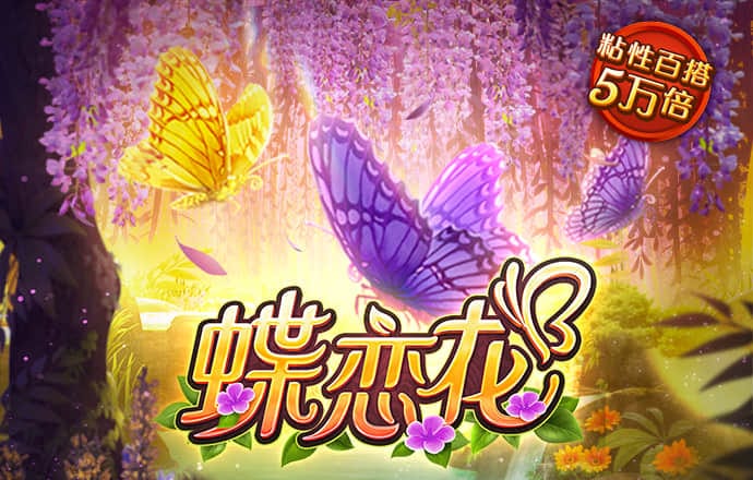 精彩网官网下载安装手机版